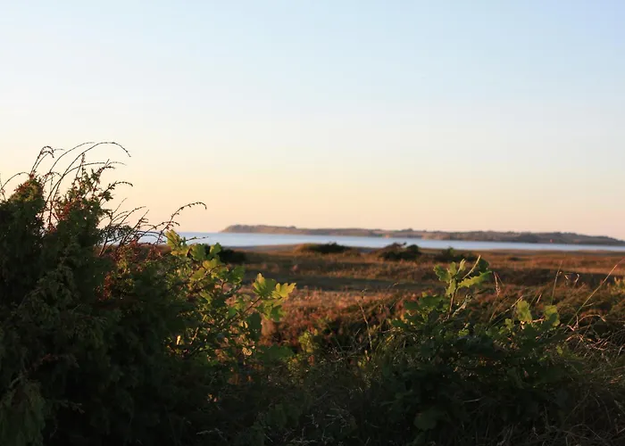 Vesterlyng Camping And Cottages