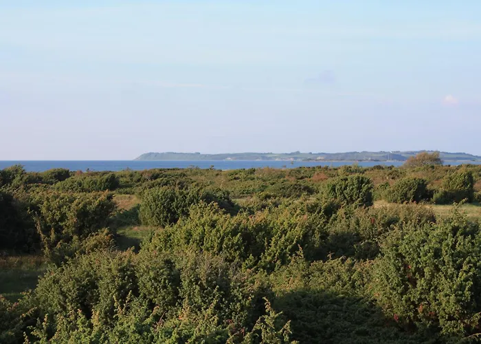 Vesterlyng Camping And Cottages
