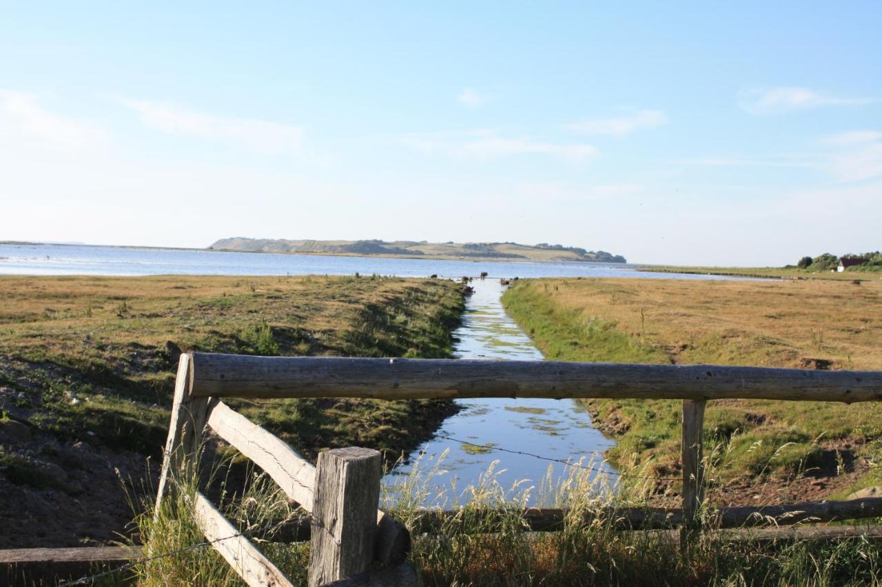 Vesterlyng And Campsite