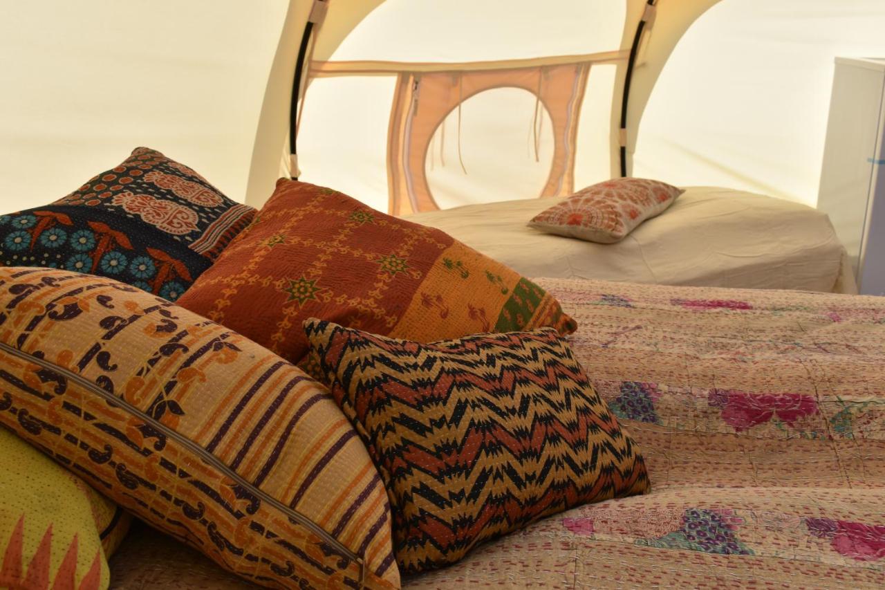 Campsite Vesterlyng And