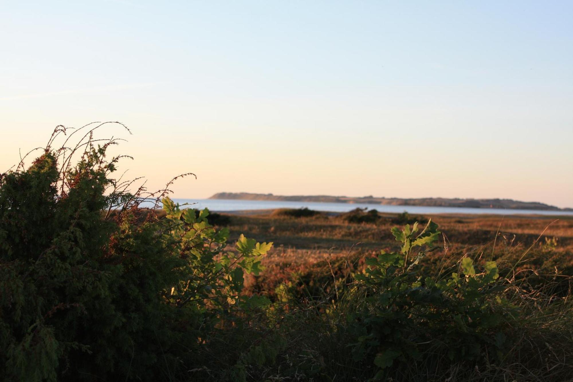 Vesterlyng And Campsite
